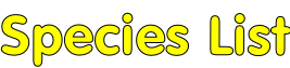 Species List